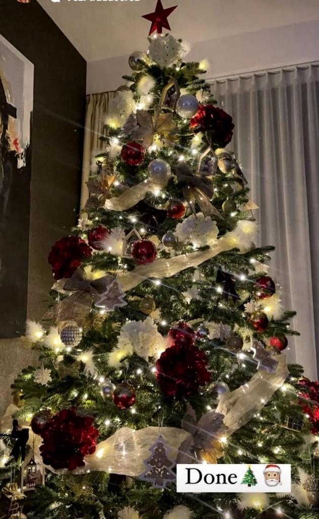 Perception Ideal Distribute Top 10 cei mai frumosi brazi de Crăciun decorați de vedete anul acesta