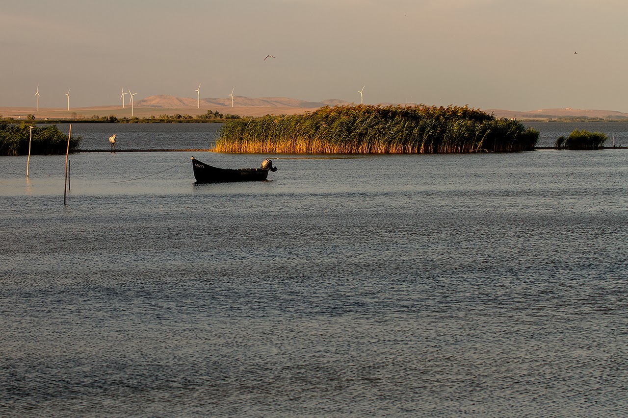 TOT despre Lacul Razelm, cel mare mare lac din România | FOTO
