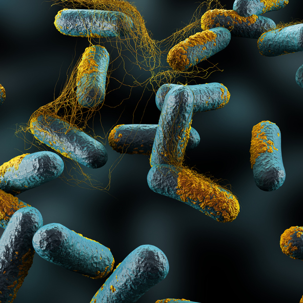Botulism