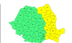 Cod galben de iarnă siberiană în România