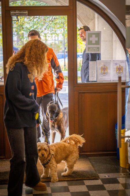 George Tuță rupe la propriu interdicția lui Clotilde Armand! Primăria S1 a devenit pet-friendly. „Sunt un iubitor al animalelor