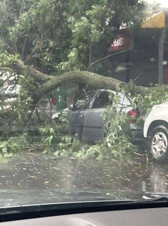 furtună ploaie București