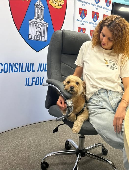 Apare o nouă materie în școlile din România! Hubert Thuma: Am depus la Ministerul Educației documentația pentru ca ”Ora cu și pentru animale” să devină materie opțională