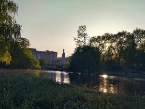 paltul buckingham