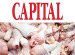 Alertă alimentară. Primul lot de pui importat prin acordul Mercosur, contaminat cu salmonella. Ce au descoperit laboratoarele din Grecia