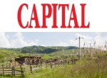 Chirie pentru proprietarii de teren. Banii pe care românii îi pot cere, dar statul probabil nu-i va plăti. Reguli dacă ai stâlpi sau o conductă pe teren