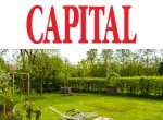 Amenzi de până la 20.000 de lei pentru proprietarii de terenuri. Controalele încep de la 1 iulie. Planta care se elimină obligatoriu