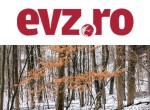 Temperaturi neobișnuit de scăzute în următoarele săptămâni. Prognoza meteo pe termen lung