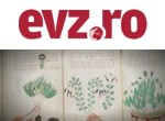 Misterul Manuscrisului Voynich: Cartea pe care nimeni nu o poate citi