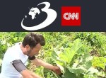 Primul român care cultivă rubarbă a dat lovitura. Afacerea profitabilă de la Nadeș a pornit de la 1.200 de rizomi aduși din Germania