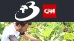 Primul român care cultivă rubarbă a dat lovitura. Afacerea profitabilă de la Nadeș a pornit de la 1.200 de rizomi aduși din Germania