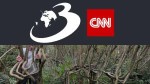 Un cuplu a dat lovitura cu o afacere neobișnuită: Scaunele cresc în copaci și sunt vândute cu 90.000 de dolari