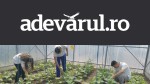 Agricultură cu drone și sere inteligente. Liceul în care specializările agricole redevin „la modă”