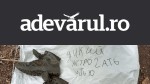 Rusia a pierdut un pluton de asalt în doar 10 zile. Un canal de propagandă Z descrie „orașul morților” lăsat în urmă
