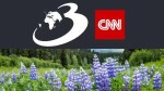 În 1945, Islanda a plantat lupini ca să salveze solurile degradate: După câteva decenii planta cu flori mov a fost declarată amenințare