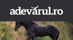 Un cal de rasă în valoare de 15.000 de lei a fost împușcat din greșeală de braconieri, în Vaslui. Vânătorii l-ar fi confundat cu cerbul pe care îl urmăreau