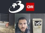Curiosul caz al capului de porc. Un consilier angajat la AUR mărturisește că este autorul faptei, dar răstoarnă situația cu o acuzație