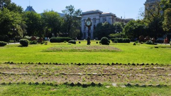 2021 a avut cea mai caldă vară înregistrată vreodată în Europa