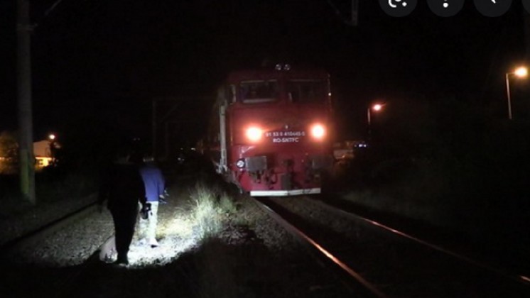 Accident feroviar lângă Ploiești. Un cioban și 18 animale au murit