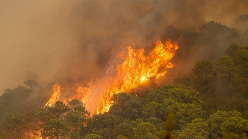 MAE a emis avertizare de călătorie pentru Spania. Incendiul de vegetaţie din Malaga s-a extins