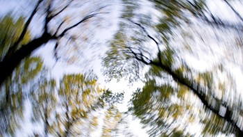 Ce afecțiuni poate semnala o banală amețeală