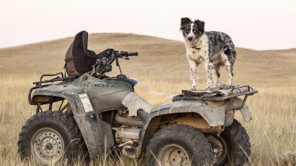Două ATV-uri furate din Germania au fost găsite acasă la un bărbat din Argeș