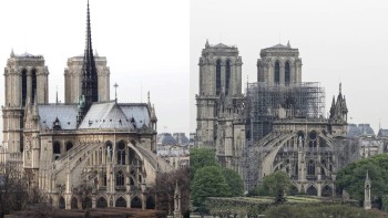 1.200 de stejari au fost tăiaţi pentru restaurarea catedralei Notre-Dame