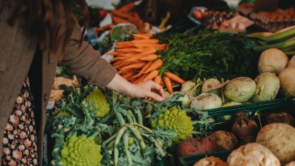 Preţurile la alimente sunt la cel mai ridicat nivel din ultimii 10 ani în toată lumea