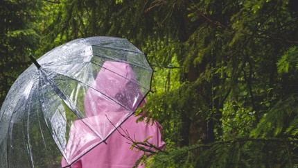 Avertizare meteo Vreme foarte rece vânt și ploi în următoarele 3 zile. La munte va ninge