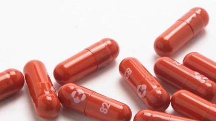 EMA dă voie statelor UE să utilizeze medicamentul Molnupiravir deși ea încă nu l-a aprobat