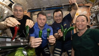 S-a stricat toaleta din capsula SpaceX. Astronauții NASA sunt nevoiți să poarte scutece