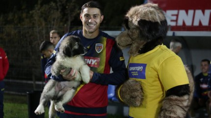 Ciobănescul carpatin a devenit mascota echipei naţionale de fotbal a României | VIDEO