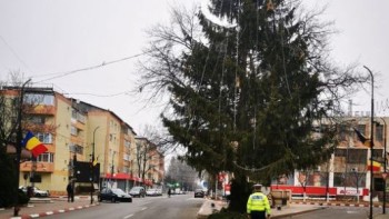 Brad de Crăciun amplasat în mijlocul drumului la Panciu. Mașinile nu mai au pe unde să circule | VIDEO