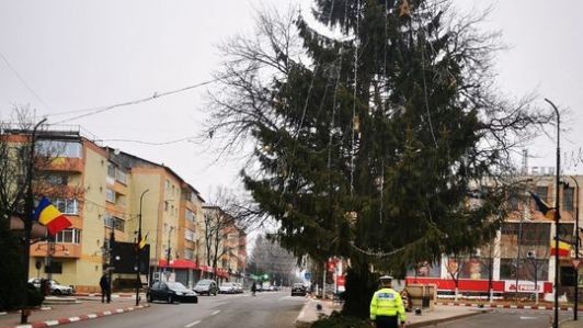 Brad de Crăciun amplasat în mijlocul drumului la Panciu. Mașinile nu mai au pe unde să circule | VIDEO