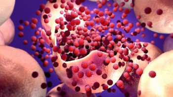 Cercetătorii italieni au găsit soluția pentru stoparea infectării cu SARS-CoV-2