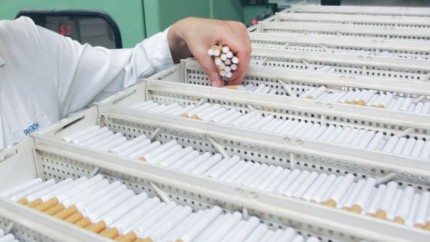 Captură de țigări de contrabandă în valoare de 15 milioane de euro