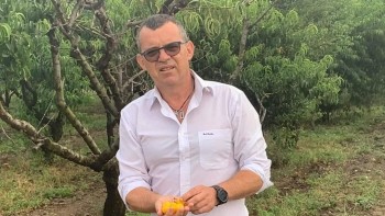 Un om de afaceri dispărut de 3 luni a fost găsit mort în Pădurea Băneasa