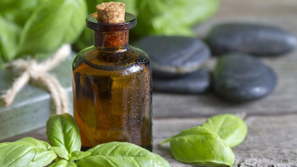 Beneficiile ceaiului de busuioc