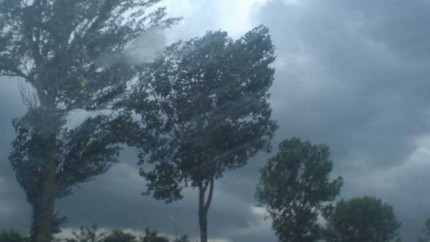 Cod galben de vânt puternic în aproape toată țara. Avertismentul meteorologilor