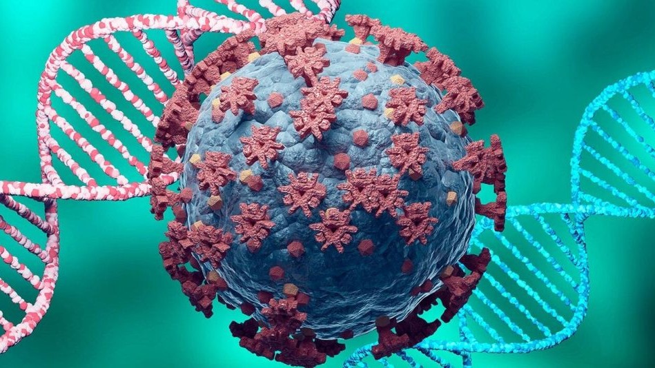 Anticorpii formați după infectarea cu SARS- CoV-2 pot ataca organe sănătoase