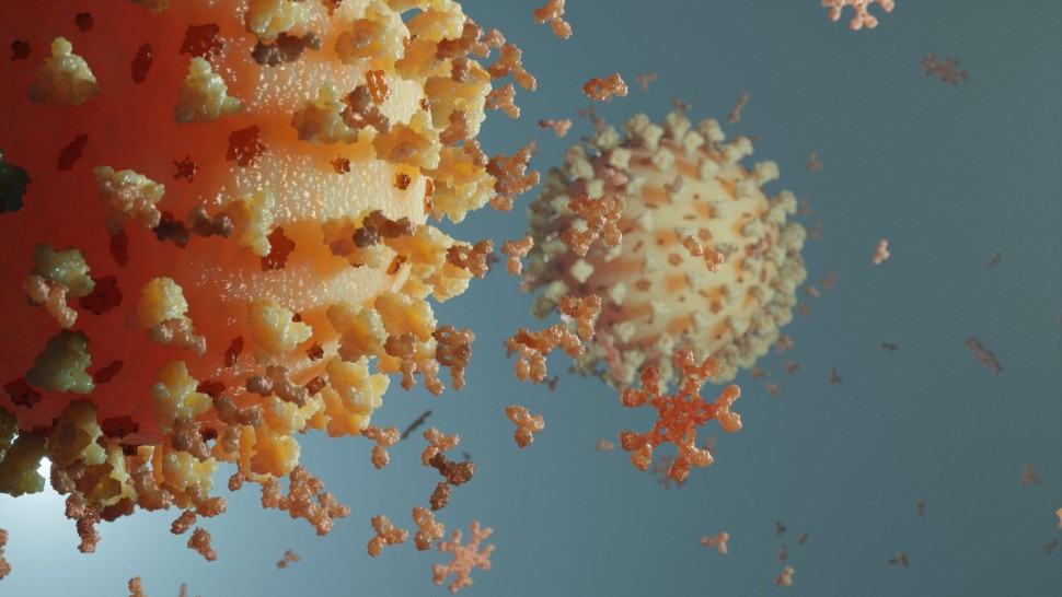 Omicron 2 cea mai contagioasă versiune a corovavirusului are simptome diferite în special greață și diaree