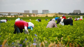 Românii ar putea pierde dreptul de muncă în Germania dacă nu se vaccinează
