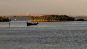 TOT despre Lacul Razelm cel mare mare lac din România | FOTO