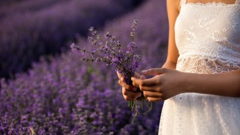 Beneficiile mai puțin cunoscute ale lavandei