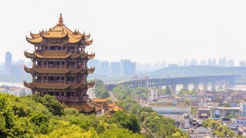 A fost descoperit un nou coronavirus în Wuhan China. OMS este îngrijorată