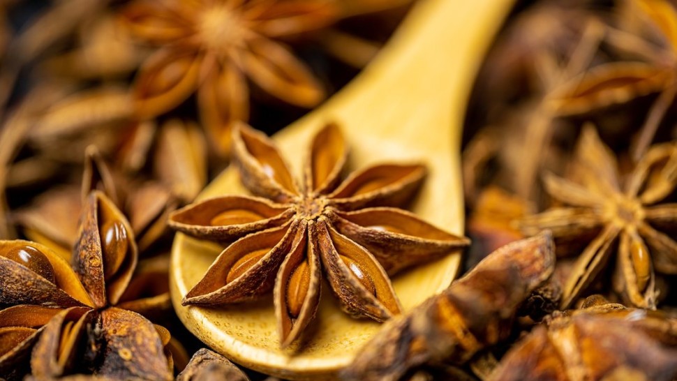 Beneficiile anasonului. Pentru ce este folosit