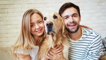 Câinele ca animal de companie. De ce este bine să ai un astfel de animal