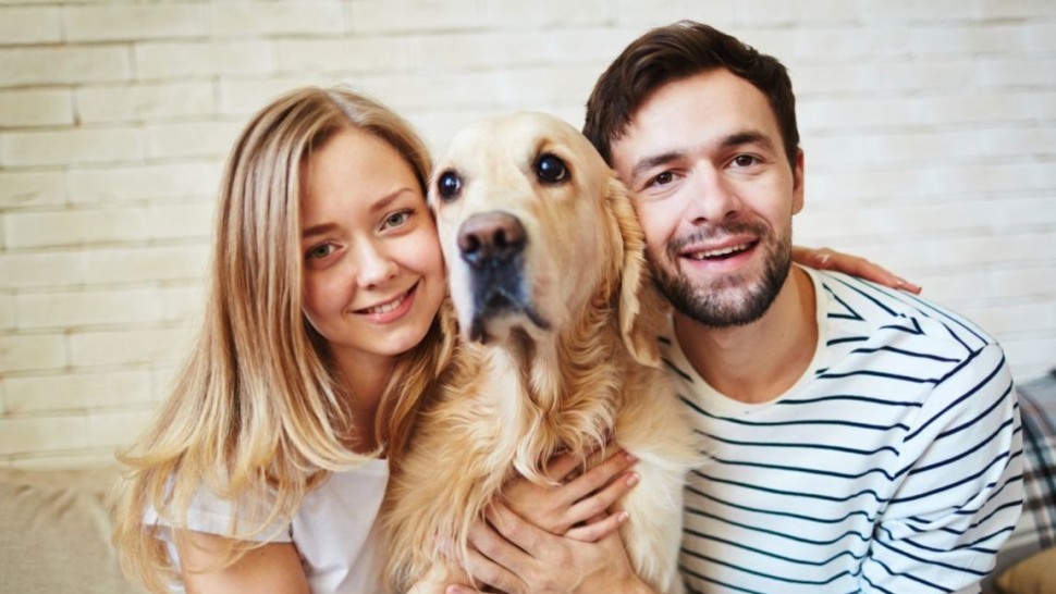 Câinele ca animal de companie. De ce este bine să ai un astfel de animal