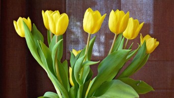 Cum păstrezi pentru mai mult timp în stare perfectă buchetele de flori. Trebuie să pui neapărat asta în glastră