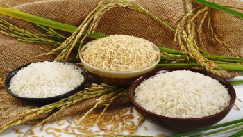 Orez alb și orez brun. Voi știți care e diferența dintre cele două alimente